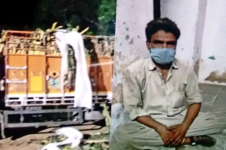 सीआईडी क्राइम ब्रांच ने पकड़ा तस्कर, 3 किलो अफीम व ट्रक जब्त,  opium in a truck filled with bananas, Opium smuggling, 3 kg of opium and truck seized, Jaipur news