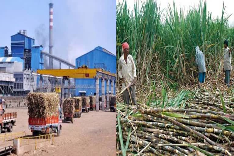 198-dot-64-crore-released-by-the-state-government-for-the-payment-of-sugarcane-farmers