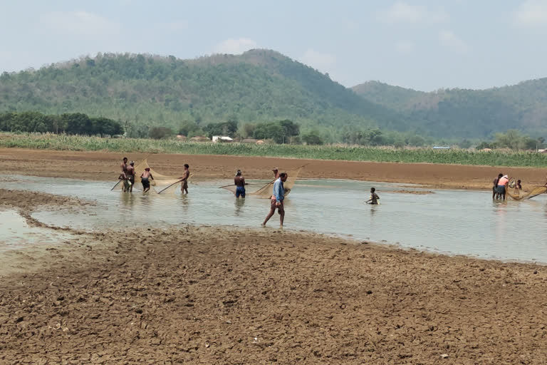 farmers are-tension in Deogarh