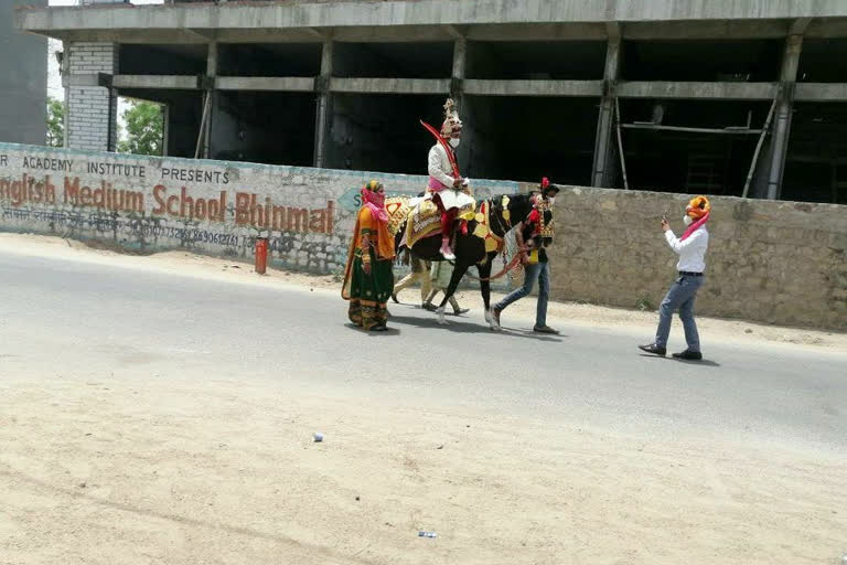 unique wedding in Bhinmal, unique wedding procession in Bhinmal