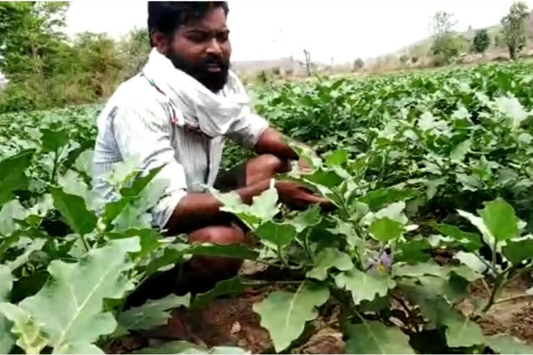 Farmers upset due to not getting the right price for vegetables
