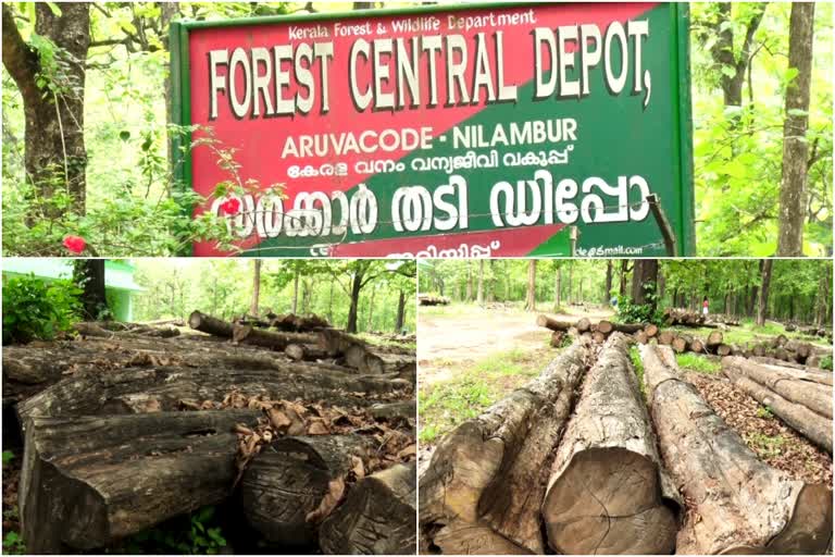 കൊവിഡ് രണ്ടാം തരംഗം; നിലമ്പൂർ തേക്ക് വിൽപ്പന പ്രതിസന്ധിയിൽ  Nilambur teak  നിലമ്പൂർ തേക്ക്  കൊവിഡ് രണ്ടാം തരംഗം  covid second wave  Covid  Covid Kerala