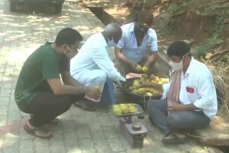 corona effect: guest lecturer is selling fruits in street