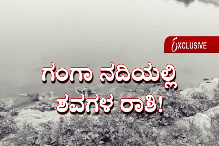 More than 4 dozen dead body floated, More than 4 dozen dead body floated in ganga, More than 4 dozen dead body floated in ganga in buxar, dead body floated, dead body floated news, ನಾಲ್ಕು ಡಜನ್​ಗೂ ಹೆಚ್ಚು ತೇಲಿಬಂದ ಮೃತದೇಹಗಳು, ಗಂಗಾದಲ್ಲಿ ನಾಲ್ಕು ಡಜನ್​ಗೂ ಹೆಚ್ಚು ತೇಲಿಬಂದ ಮೃತದೇಹಗಳು, ಬಕ್ಸರ್​ನ ಗಂಗಾದಲ್ಲಿ ನಾಲ್ಕು ಡಜನ್​ಗೂ ಹೆಚ್ಚು ತೇಲಿಬಂದ ಮೃತದೇಹಗಳು, ಬಕ್ಸರ್​ ಸುದ್ದಿ,