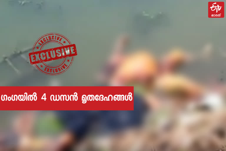 dead bodies float in Ganga river  Scores of dead bodies in ganga  Buxar news  Buxar dead bodies  Buxar decomposed dead bodies  ഗംഗാ നദിയിൽ മൃതദേഹങ്ങൾ  മഹാദേവ് ഘട്ടിൽ മൃതദേഹങ്ങൾ