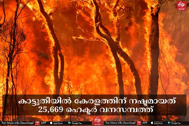 കാട്ടുതീ  -forest-in-the-fire  fire in the forest  kerala forest news  kerala forest department  വനംവകുപ്പ്  കേരളത്തിലെ വനംവകുപ്പ്  ഹൈറേഞ്ച്