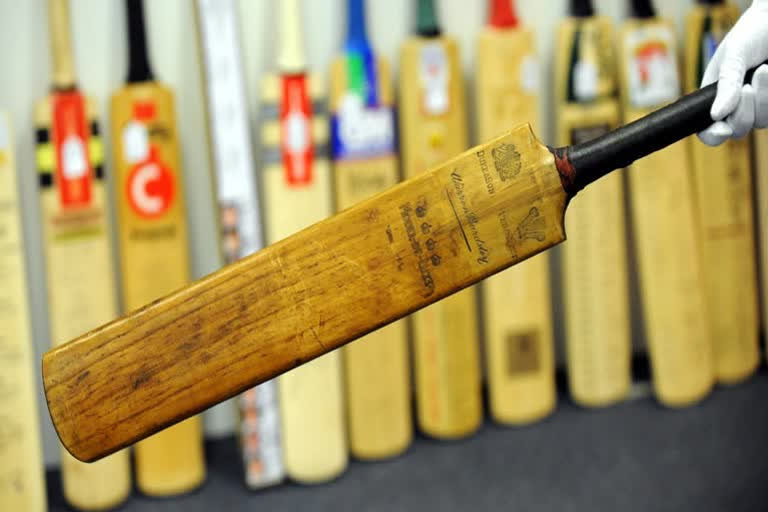 cricket bat