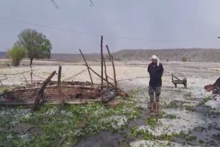 heavy rainfall in begumganj raisen