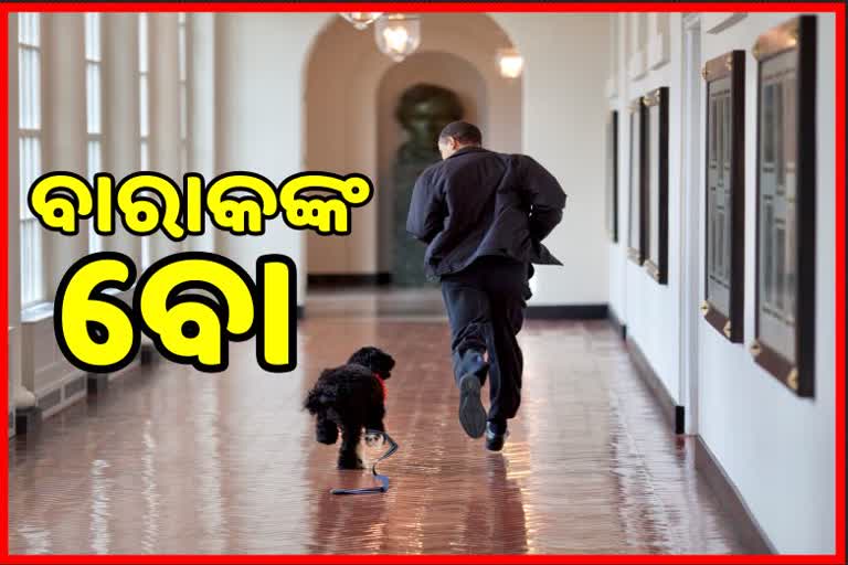 କ୍ୟାନସର ଛଡାଇନେତା ପୂର୍ବତନ ରାଷ୍ଟ୍ରପତିଙ୍କ କୁକୁରର ପ୍ରାଣ