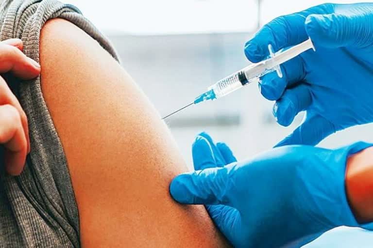 Vaccination  in Jhalawar, झालावाड़ न्यूज