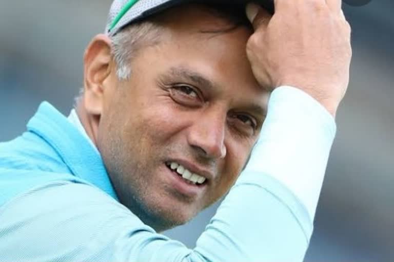 rahul dravid