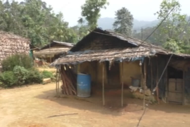 Edamalakkudy panchayat in the Idukki district of Kerala