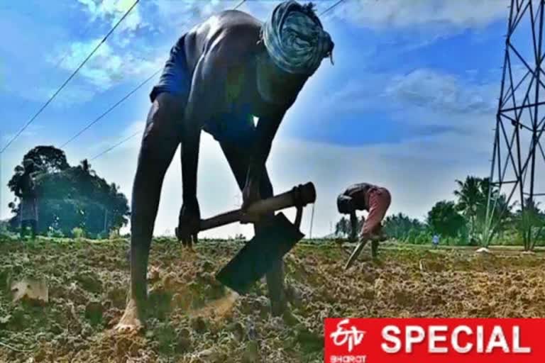 தேசிய ஊரக வேலைவாய்ப்பு திட்டம், National Rural Employment Guarantee Scheme