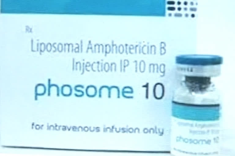 amphotericin B injections