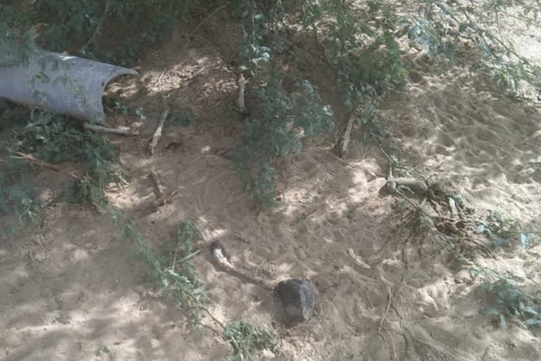 chinkara poaching in jaisalmer, chinkara hunt in jaisalmer