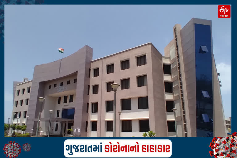 ડાંગ કોરોના અપડેટ