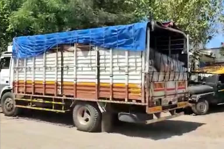 Rajur police seized 4 trucks carrying Government grain