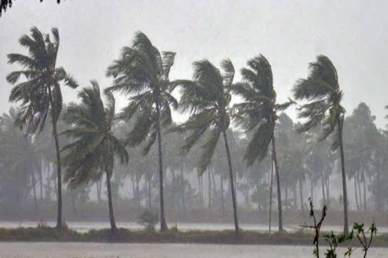 hurricane in arabian sea