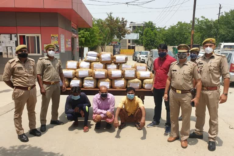 3-accused-of-smuggling-illegal-marijuana-arrested-by-noida-police