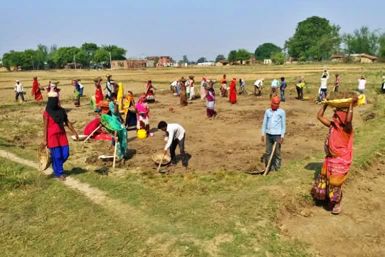 Karnataka govt allows MNREGA works during lockdown