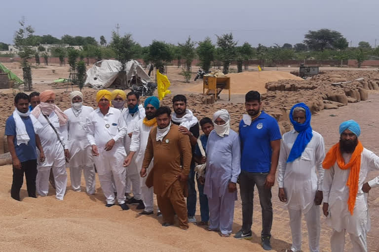 trucks filled with wheat in sirsa mandi