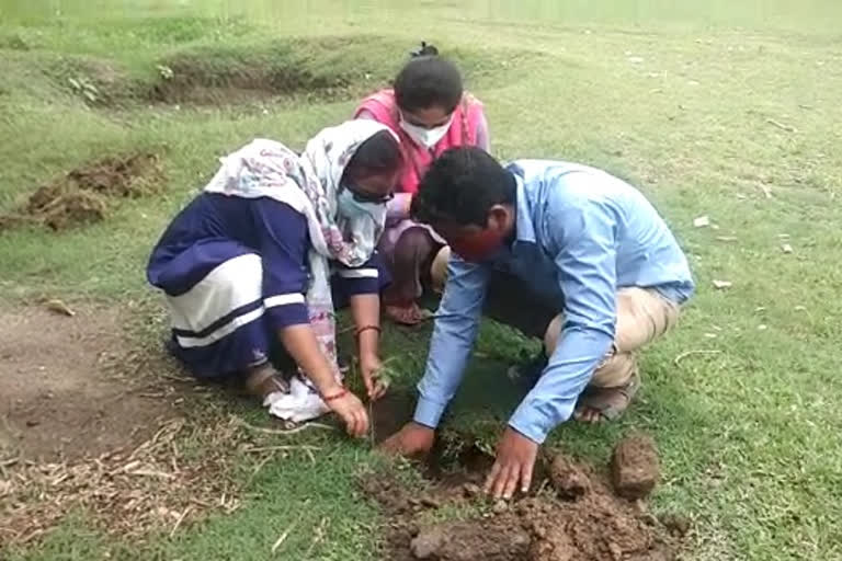 বিবাহবার্ষিকীতে গাছ লাগিয়ে সচেতনতার বার্তা রায়গঞ্জের দম্পতির