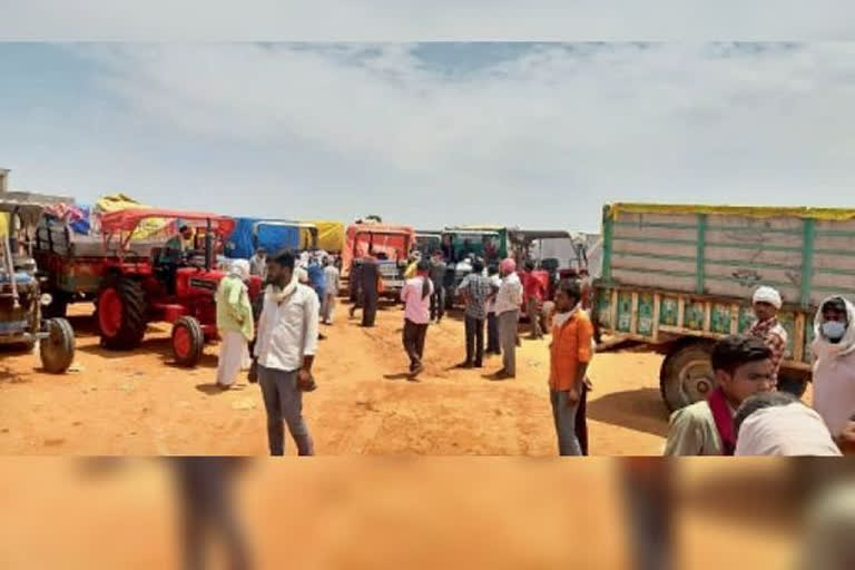 Line of tractor-trolleys at silo center, number not even after 15 days