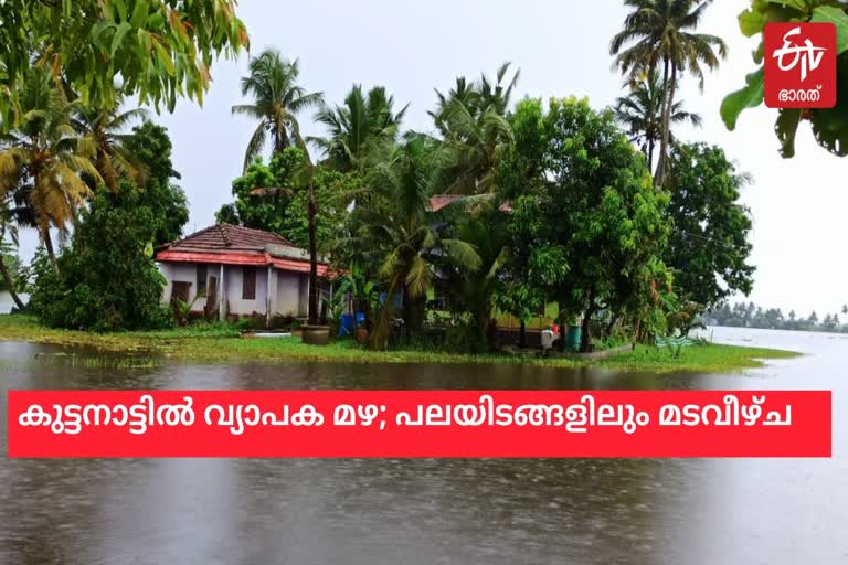 കുട്ടനാട്ടിൽ വെള്ളക്കെട്ട്  കുട്ടനാട്ടിൽ വ്യാപക വെള്ളപ്പൊക്കം  വ്യാപക വെള്ളപ്പൊക്കം വാർത്ത  കുട്ടനാട്ടിൽ മട വീഴ്‌ച  കുട്ടനാട്ടിൽ മട വീഴ്‌ച വാർത്ത  കുട്ടനാട്ടിൽ വെള്ളപ്പൊക്കം വാർത്ത  Widespread floods in Kuttanad  Widespread flood aalappuzha  aalappuzha flood  Widespread floods  kuttanad rain updates  kutttanad rain, flood news