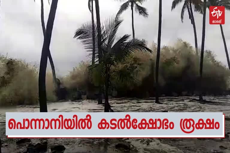 sea-attack in Ponnani  പൊന്നാനിയിൽ കടൽക്ഷോഭം രൂക്ഷം  കൊവിഡ്  കൊവിഡ് വാർത്തകൾ  sea-attack news  മലപ്പുറം  മലപ്പുറം വാർത്തകൾ  അറബിക്കടലിൽ രൂപപ്പെട്ട ന്യൂനമർദ്ദം  ടൗട്ടേ വാർത്തകൾ  ടൗട്ടേ ചുഴലിക്കാറ്റ്