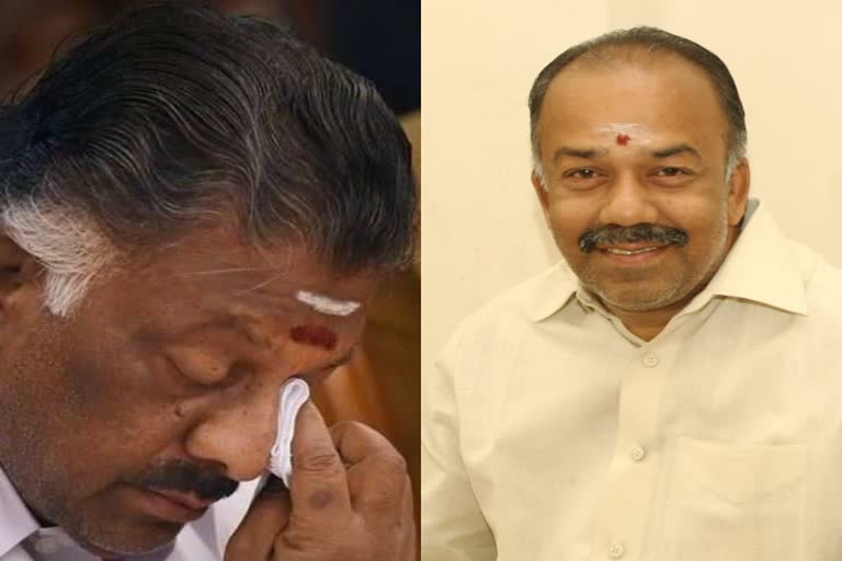 Panneerselvam's younger brother