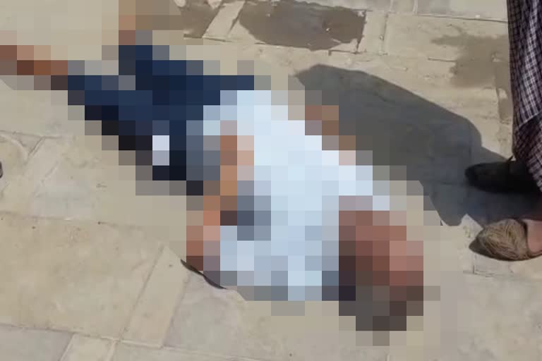 anasagar lake in ajmer  dead body found in anasagar lake  anasagar lake  crime news  अजमेर न्यूज  आनासागर झील  बुजुर्ग का शव