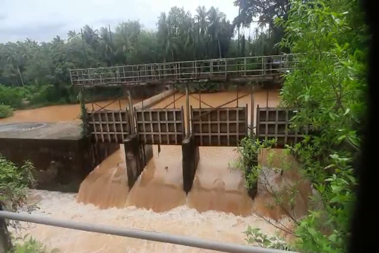 Flood threat  Vishnumangalam raised the shutters of the bund  വെള്ളപ്പൊക്ക ഭീഷണി  വിഷ്ണുമംഗലം ബണ്ടിൻ്റെ ഷട്ടറുകൾ ഉയർത്തി  ജല അതോറിറ്റി