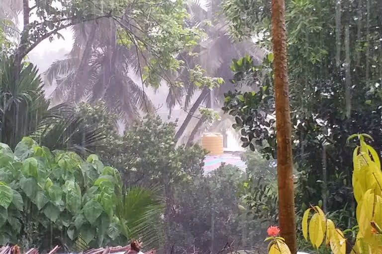 Heavy rain in Mangalore