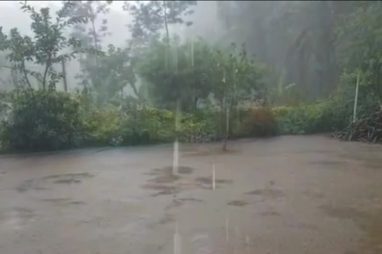 tauktae cyclone effect in Karnataka