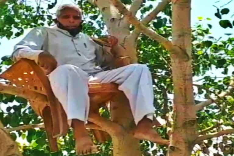 68-yr old man encamps on peepal tree for oxygen in Indore