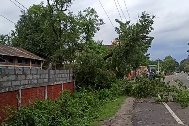 জোনাইত প্ৰচণ্ড ধুমুহাত বিস্তৰ ক্ষতি