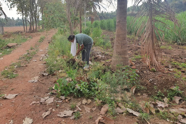 ಎ.ಎಸ್.ಪಾಟೀಲ ನಡಹಳ್ಳಿ