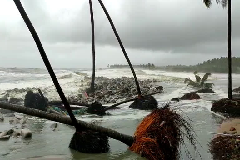 kerala rain updates  kerala weather updates  rain havoc  tauktae cyclone  kerala flood  ശക്തമായ മഴ  ടൗട്ട ചുഴലിക്കാറ്റ്  പ്രളയ ഭീഷണി