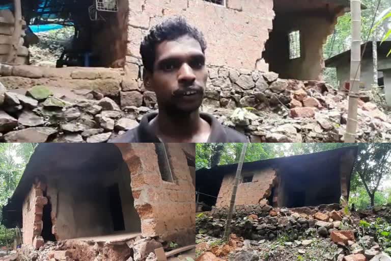 Chinkakallu tribal colony  tribal  Shankara's house in Chinkakallu tribal colony collapses  ആദിവാസി കോളനി  ആദിവാസി  പഞ്ചായത്ത്  കെഎസ്ഇബി  KSEB