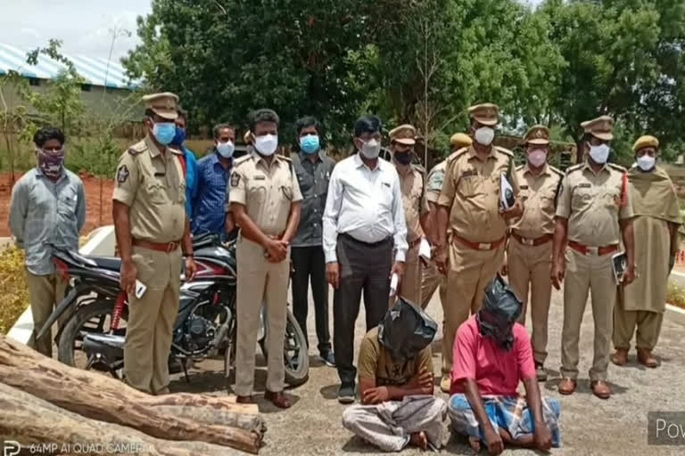 red sandal smugglers arrested in chowdaryvaripalli