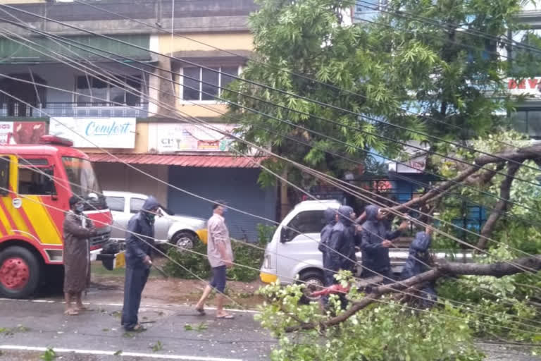 KSEB  കെഎസ്ഇബി  കെഎസ്ഇബിയ്ക്ക് നഷ്ടം  rain  heavy rain  മഴ  കനത്ത മഴ  ഇടുക്കി  idukki  ഇടുക്കി മഴ  idukki rain  idukki rain updates  പ്രകൃതിക്ഷോഭം  disaster  weather updates  KSEB claims that lakhs of rupees have been lost due to rain