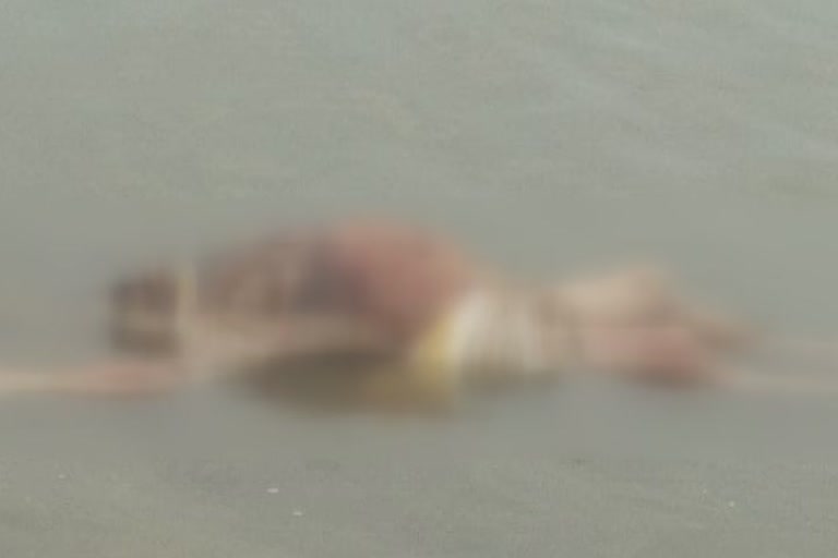 pollution in river increased due to flow of dead bodies