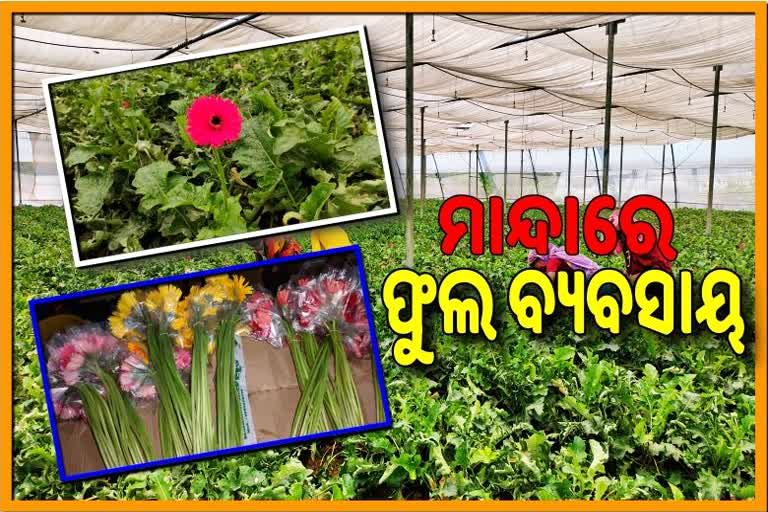 covid19 lockdown Flower business affected in deogarh