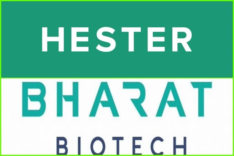 Hester in talks with Bharat Biotech