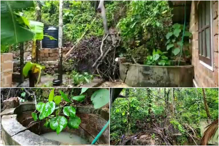 കുന്നിടിച്ചിൽ  landslides  മഴ  കൂത്താട് ഇടുപ്പ റോഡ്  ജിയോളജി വകുപ്പ്  സർക്കാർ  Government