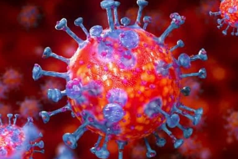 coronavirus