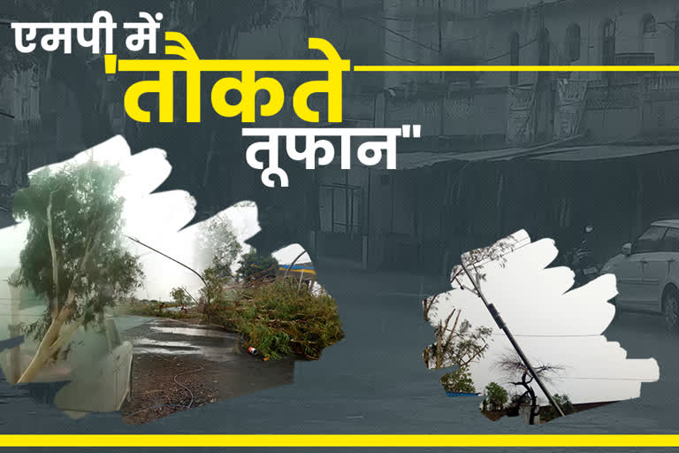 impact of taukte storm in MP