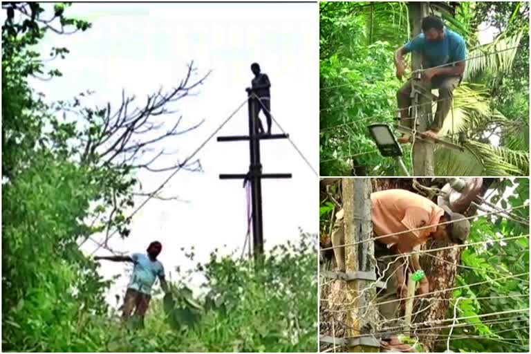 HESCOM staff working for provide power to Karwar