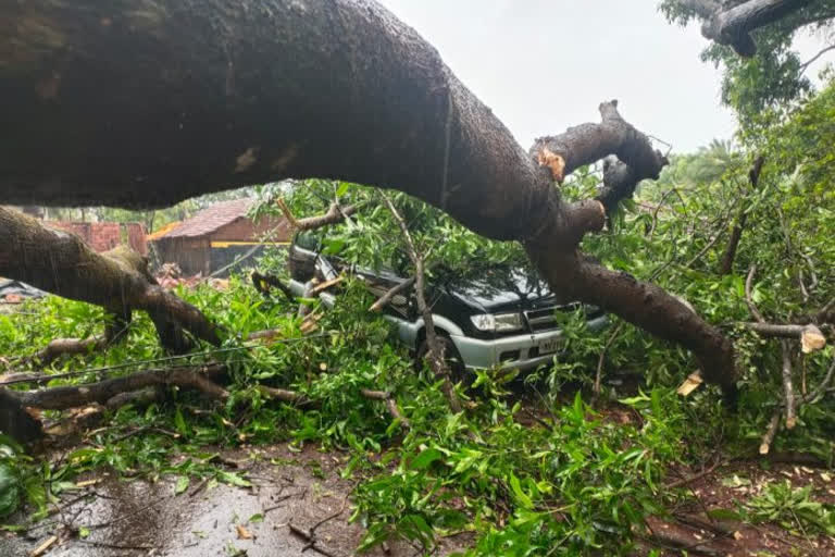 tauktae cytauktae cyclone causesclone causes