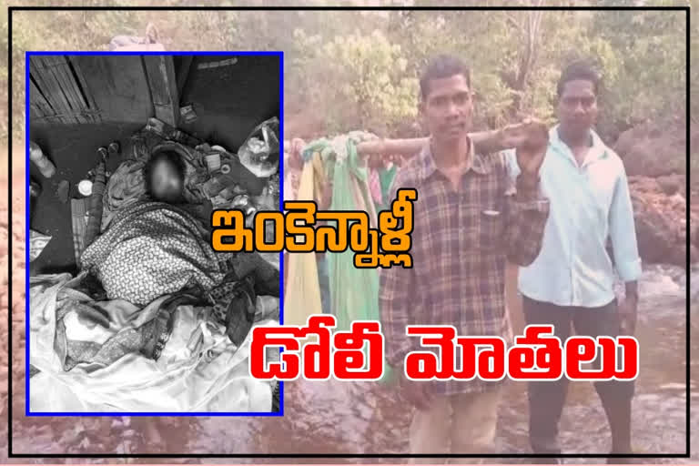 pregnant died lack of road facility in paderu